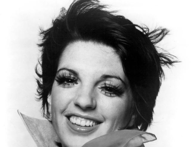 Quando Liza Minnelli scoprì che il marito era gay